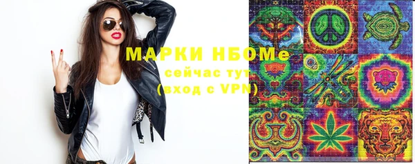 молекула духа Нязепетровск