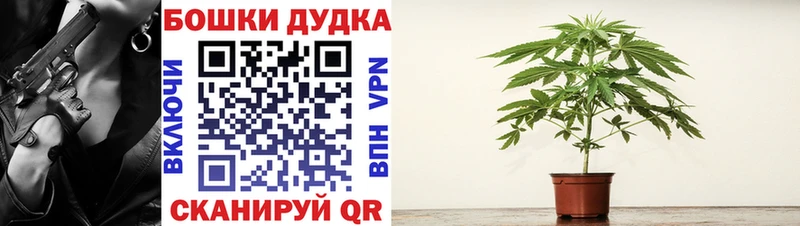 купить наркоту Остров Бошки марихуана планчик